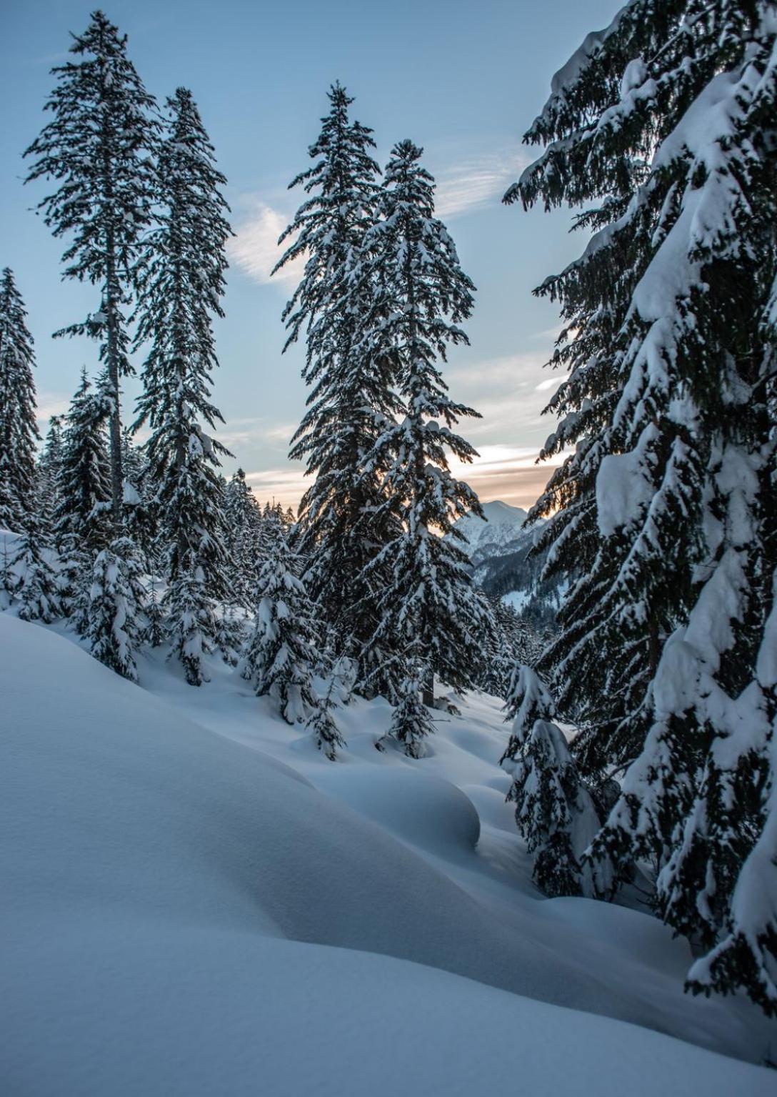 Naturparkresort Xeisblick Палфау Екстериор снимка