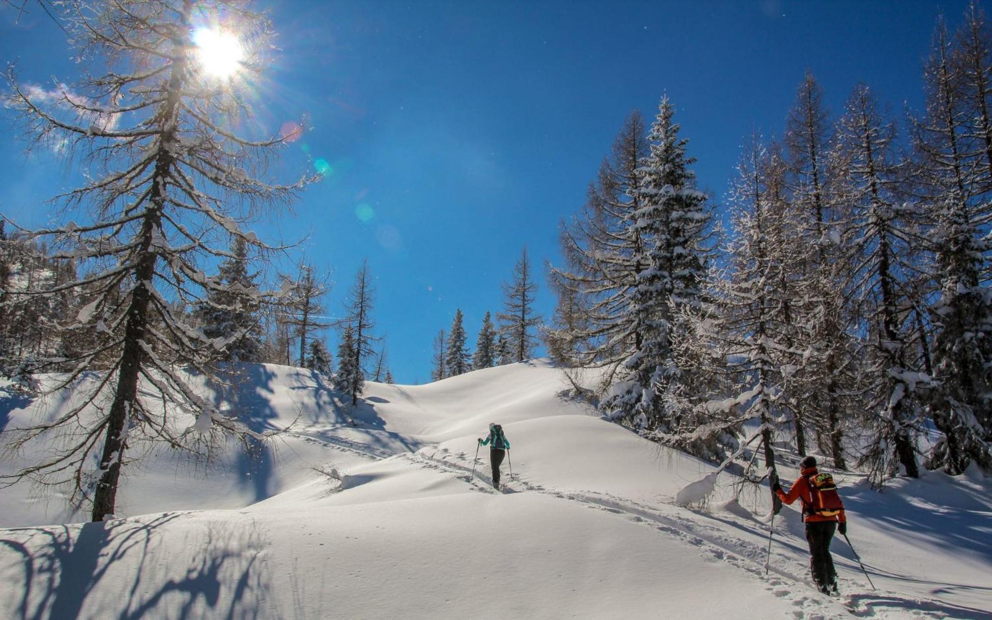 Naturparkresort Xeisblick Палфау Екстериор снимка